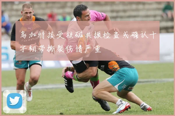 乌加特接受核磁共振检查或确认十字韧带撕裂伤情严重