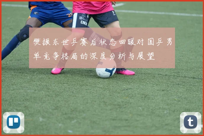 樊振东世乒赛后状态回暖对国乒男单竞争格局的深度分析与展望