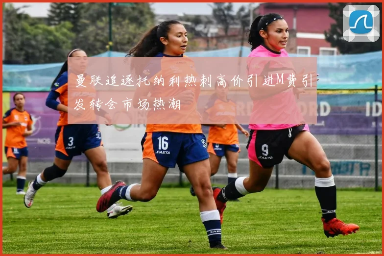 曼联追逐托纳利热刺高价引进M费引发转会市场热潮